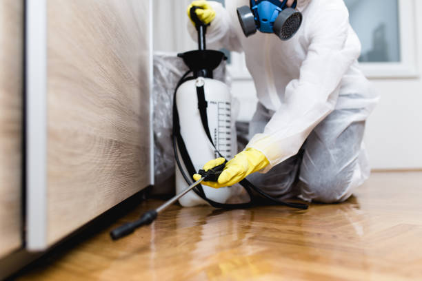 Reliable Bishopville, SC Pest Control Solutions