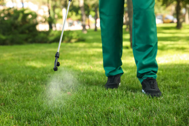 Best Emergency Pest Control  in Bishopville, SC
