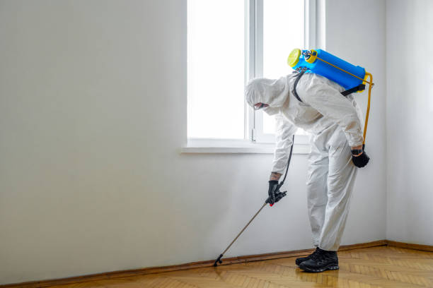 Best Flea Control Services  in Bishopville, SC