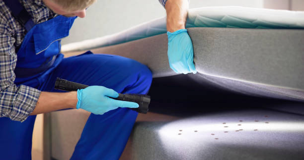 Best Cockroach Control Services  in Bishopville, SC
