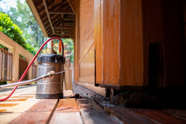 Best Insect Control  in Bishopville, SC