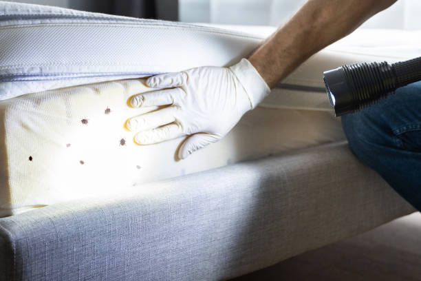 Best Pest Prevention Services  in Bishopville, SC