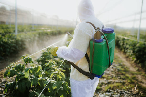 Best Local Pest Control Services  in Bishopville, SC